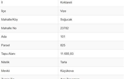VİZE SOĞUCAK KÖYÜ'NDE 200 m² PARSEL