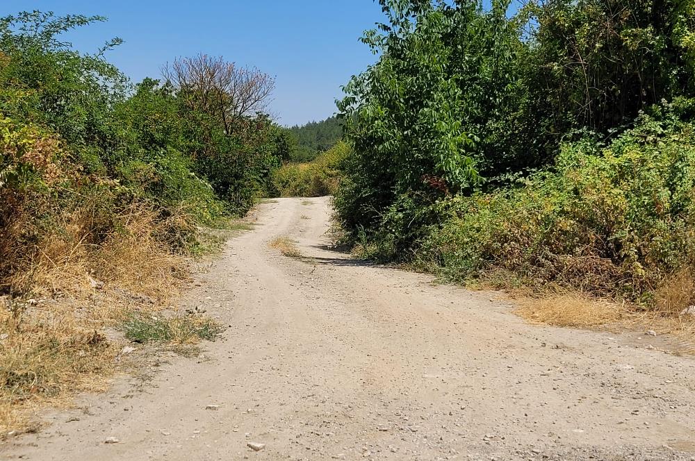 CENTURY21 BAL'DAN KİRAZPINAR MAH.DE SATILIK TARLA