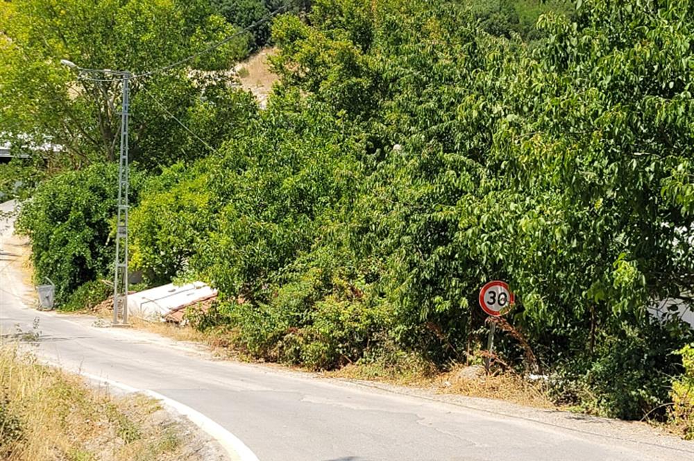 CENTURY21 BAL'DAN KİRAZPINAR MAH.DE SATILIK TARLA