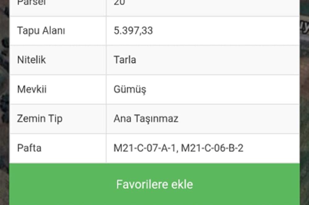 C21 LOFT'TAN TAVAS SEKİ'DE ANAYOLA CEPHELİ SATILIK ZEYTİNLİK
