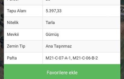 C21 LOFT'TAN TAVAS SEKİ'DE ANAYOLA CEPHELİ SATILIK ZEYTİNLİK