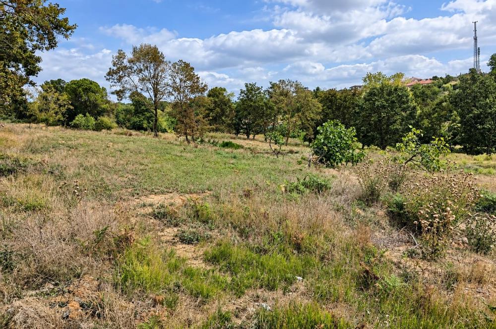 Sarıyer Gümüşdere'de Gelişme Konut Alanında 4.593,96 m² Tarla