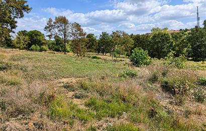Sarıyer Gümüşdere'de Gelişme Konut Alanında 4.593,96 m² Tarla