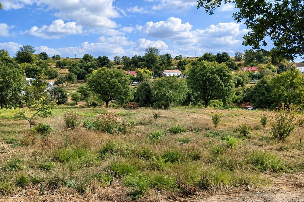 Sarıyer Gümüşdere'de Gelişme Konut Alanında 4.593,96 m² Tarla