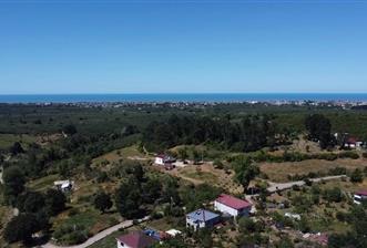 SAKARYA KAYNARCA ARİFAĞA DENİZ MANZARALI İMARLI SATILIK ARSA - 1 - 37190