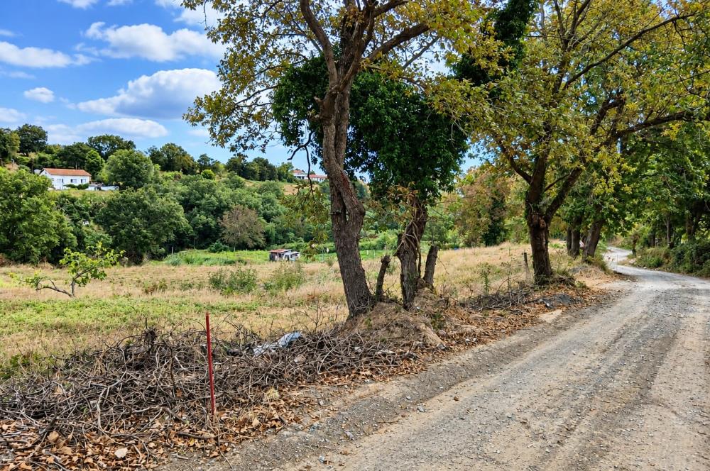 Sarıyer Gümüşdere'de Gelişme Konut Alanında 4.593,96 m² Tarla