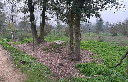 Sakarya Hendek Uzunçarşı Satılık 5.500.000 TL Bahçe