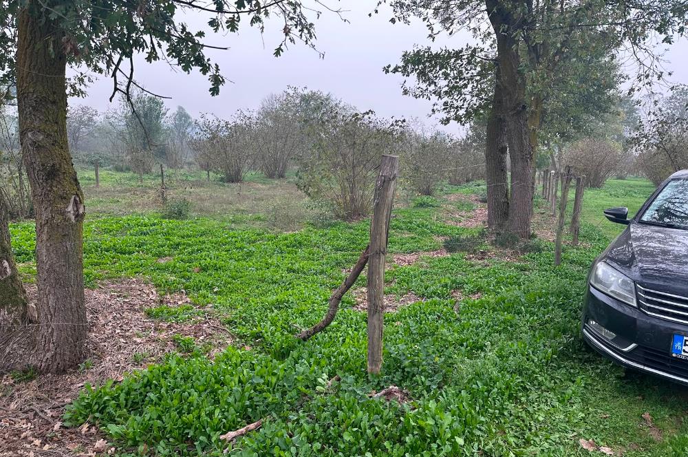 Sakarya Hendek Uzunçarşı Satılık 5.500.000 TL Bahçe