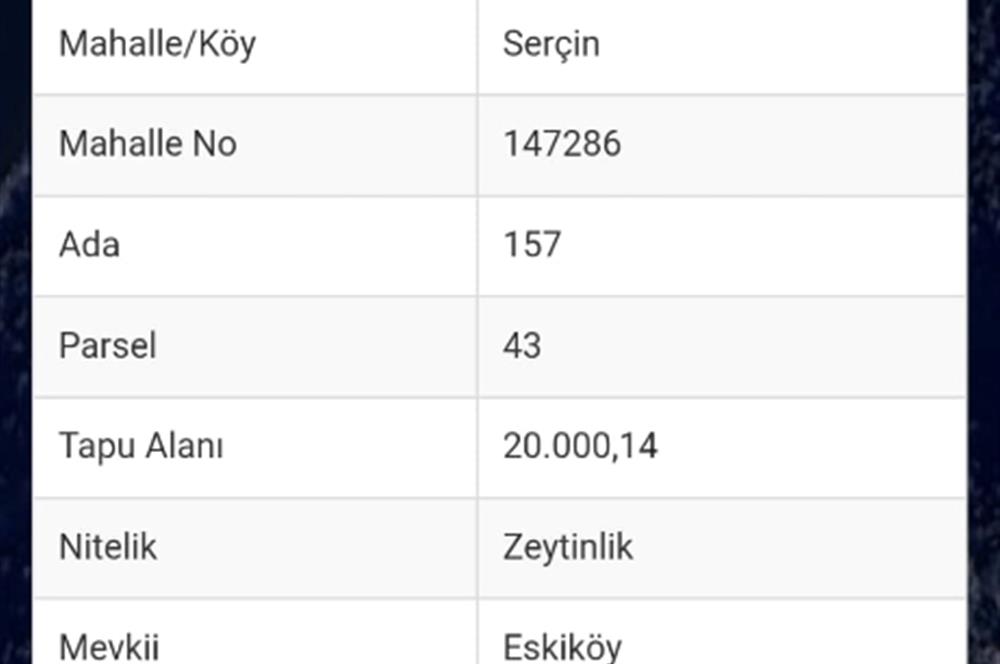 AYDIN SÖKE SERÇİN'DE BAFA GÖLÜNE SIFIR SATILIK ZEYTİNLİK