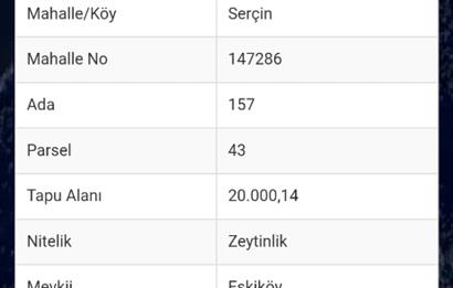 AYDIN SÖKE SERÇİN'DE BAFA GÖLÜNE SIFIR SATILIK ZEYTİNLİK