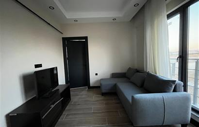 C21 BAL'dan Paşaalanı Gelişim Bölgesinde Satılık 1+1 Daire