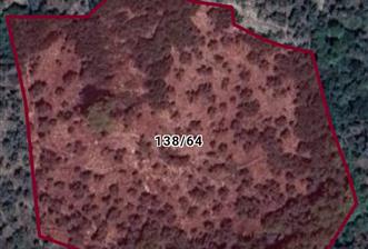 MUĞLA MİLAS ŞENKÖY SATILIK ZEYTİNLİK - 1 - 37205