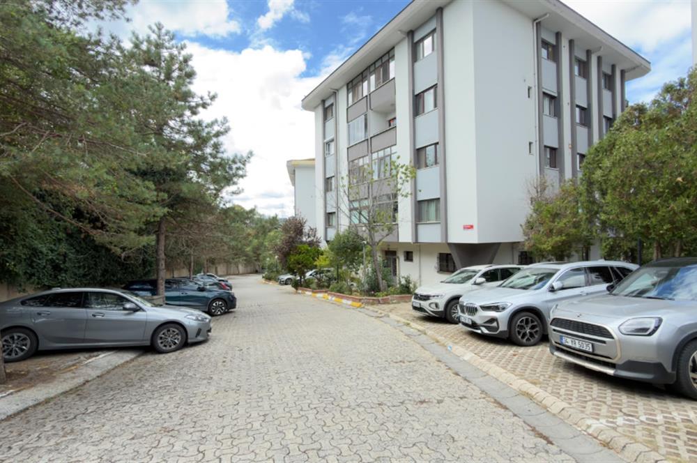 Emlak Konut'ta 4+1 Orman & Deniz Manzaralı Eşyalı Eşyasız KRLK