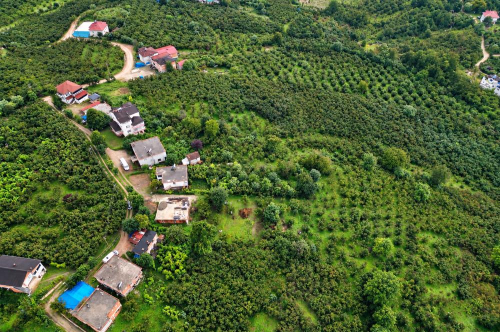 CENTURY 21'DEN ÇAMAŞ SÖKEN MAHALLESİ’NDE 2.416 M² SATILIK ARSA!