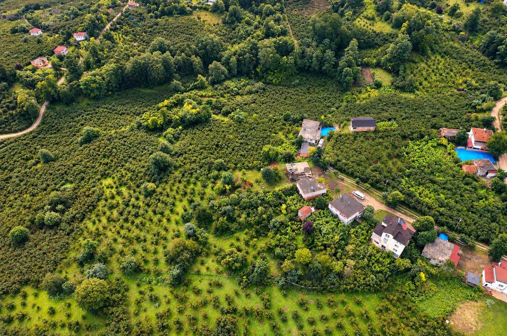 CENTURY 21'DEN ÇAMAŞ SÖKEN MAHALLESİ’NDE 2.416 M² SATILIK ARSA!