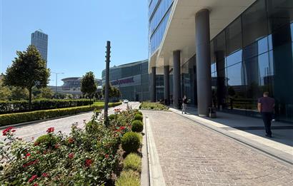 Vadistanbul Kiralık Ofis 600m2 Dekorasyonlu Ofis