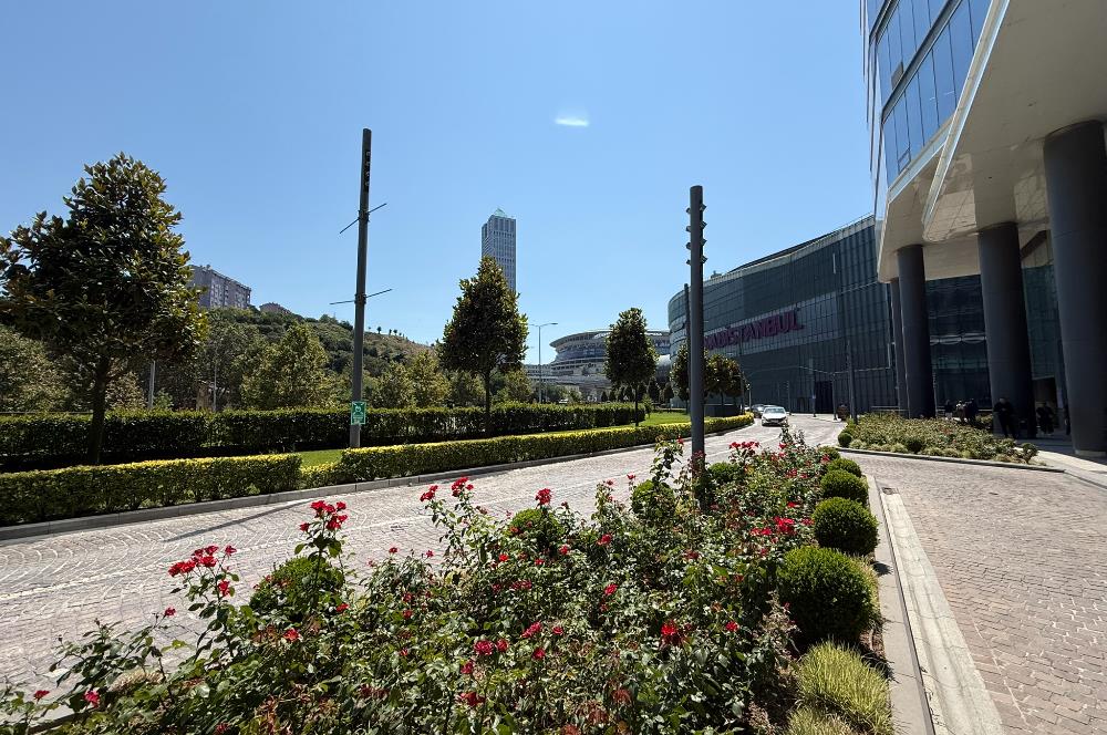 Vadistanbul Kiralık Ofis 600m2 Dekorasyonlu Ofis