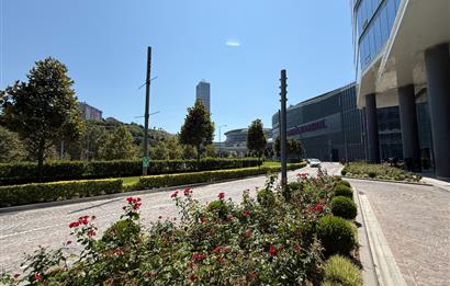 Vadistanbul Kiralık Ofis 600m2 Dekorasyonlu Ofis