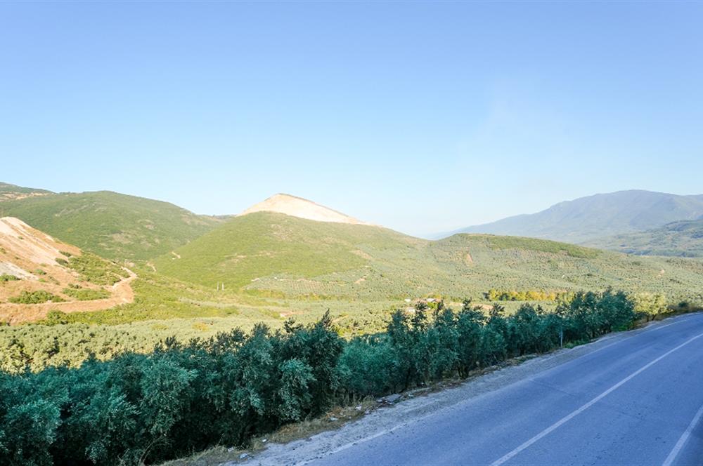 C21 Cius; Cihatlı TOKİ de Asansörlü Giriş Kat 2+1 Satılık Daire