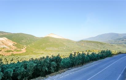 C21 Cius; Cihatlı TOKİ de Asansörlü Giriş Kat 2+1 Satılık Daire