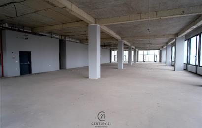 c21 Bal'dan Kurumsal Firmalara Uygun Kiralık İşyeri