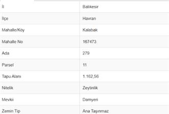 C21 Bal'dan Havran Kalabak Mahallesinde Satılık Zeytinlik - 3 - 37314