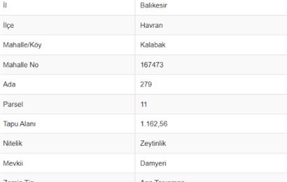 C21 Bal'dan Havran Kalabak Mahallesinde Satılık Zeytinlik