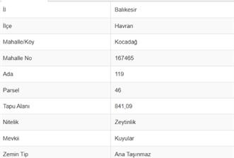 C21 Bal'dan Havran Kocadağ Mahallesinde Satılık Zeytinlik - 2 - 37315