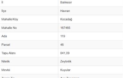 C21 Bal'dan Havran Kocadağ Mahallesinde Satılık Zeytinlik