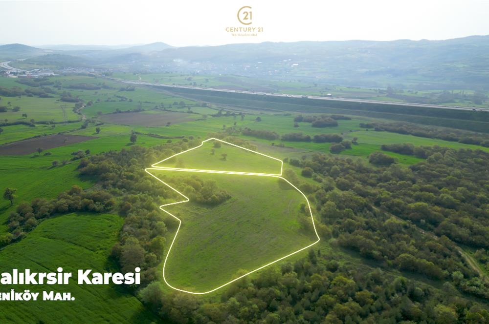 C21 BAL'dan SATILIK TARLA Yeniköy'de HAYVANCILIK ve TARIMA uygun