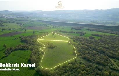 C21 BAL'dan SATILIK TARLA Yeniköy'de HAYVANCILIK ve TARIMA uygun