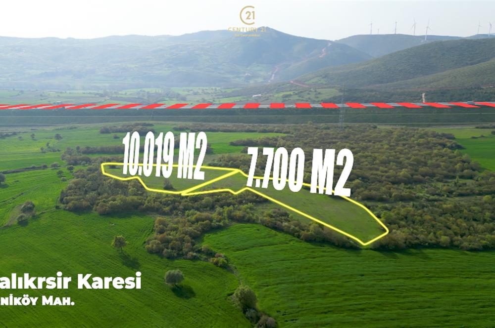 C21 BAL'dan SATILIK TARLA Yeniköy'de HAYVANCILIK ve TARIMA uygun