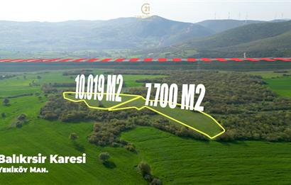 C21 BAL'dan SATILIK TARLA Yeniköy'de HAYVANCILIK ve TARIMA uygun