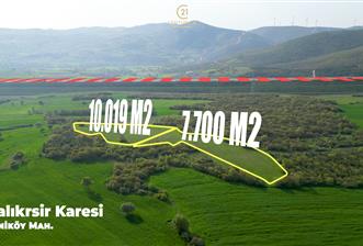 C21 BAL'dan SATILIK TARLA Yeniköy'de HAYVANCILIK ve TARIMA uygun - 2 - 37340