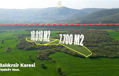 C21 BAL'dan SATILIK TARLA Yeniköy'de HAYVANCILIK ve TARIMA uygun