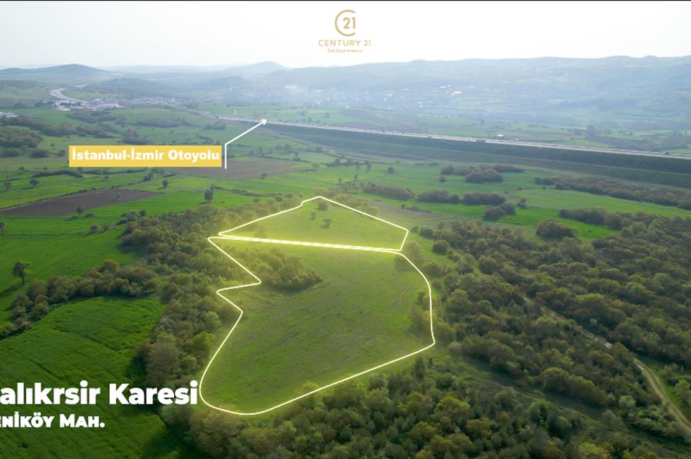 C21 BAL'dan SATILIK TARLA Yeniköy'de HAYVANCILIK ve TARIMA uygun