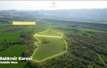 C21 BAL'dan SATILIK TARLA Yeniköy'de HAYVANCILIK ve TARIMA uygun