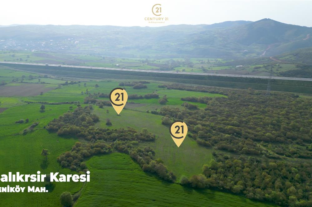 C21 BAL'dan SATILIK TARLA Yeniköy'de HAYVANCILIK ve TARIMA uygun