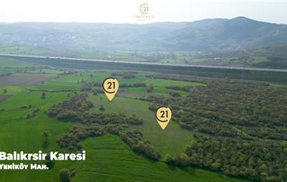 C21 BAL'dan SATILIK TARLA Yeniköy'de HAYVANCILIK ve TARIMA uygun