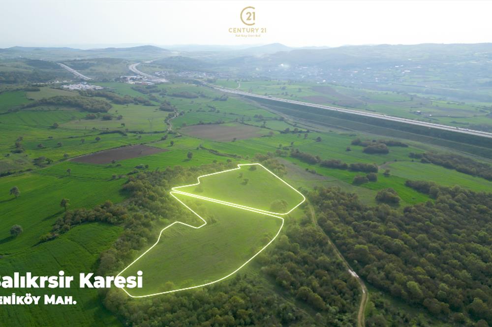 C21 BAL'dan SATILIK TARLA Yeniköy'de HAYVANCILIK ve TARIMA uygun