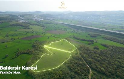 C21 BAL'dan SATILIK TARLA Yeniköy'de HAYVANCILIK ve TARIMA uygun