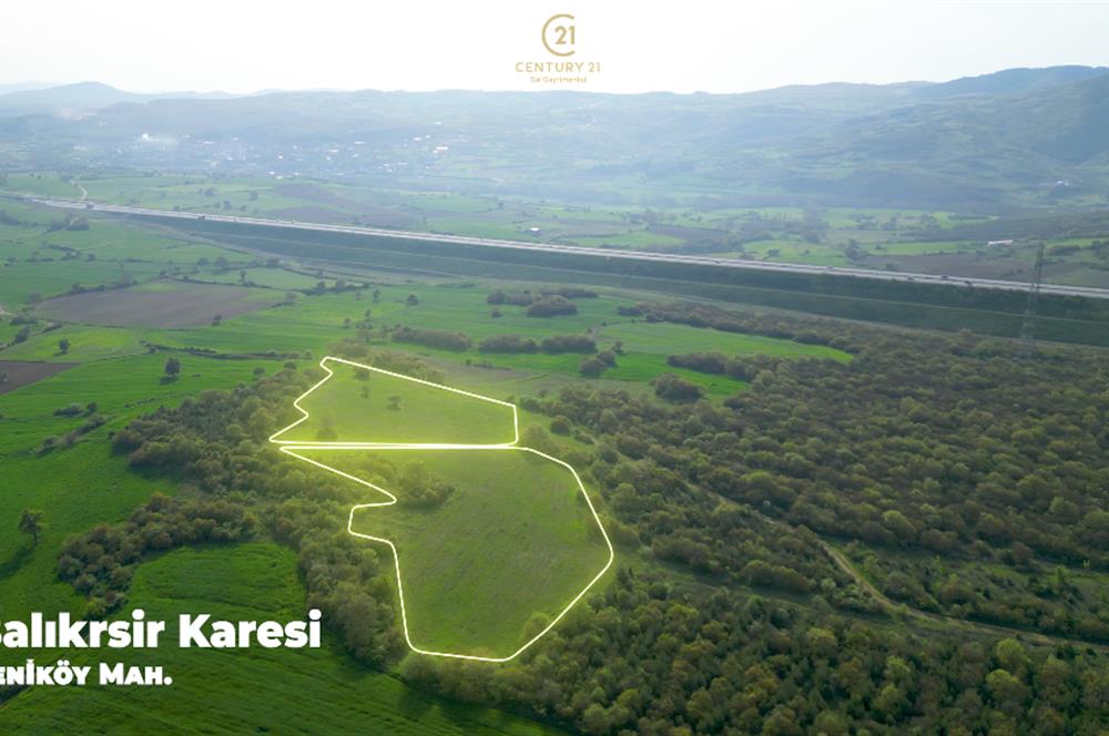 C21 BAL'dan SATILIK TARLA Yeniköy'de HAYVANCILIK ve TARIMA uygun