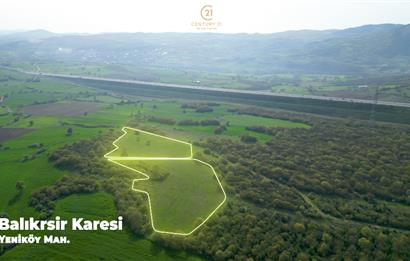 C21 BAL'dan SATILIK TARLA Yeniköy'de HAYVANCILIK ve TARIMA uygun