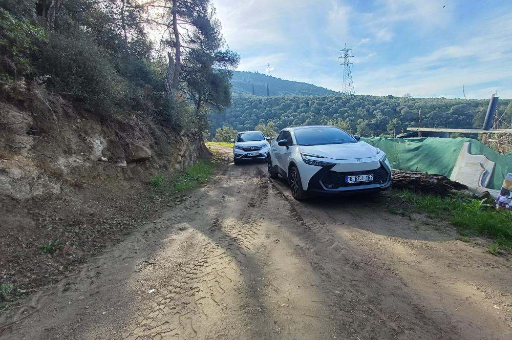 C21 Cius; Gençali'de Deniz Manzaralı 2000 M2 Zeytinlik