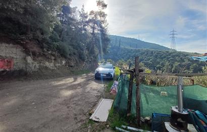 C21 Cius; Gençali'de Deniz Manzaralı 2000 M2 Zeytinlik