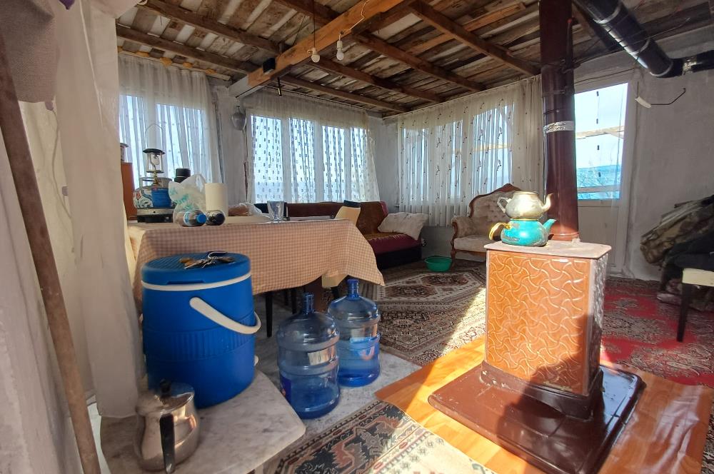 C21 Cius; Gençali'de Deniz Manzaralı 2000 M2 Zeytinlik