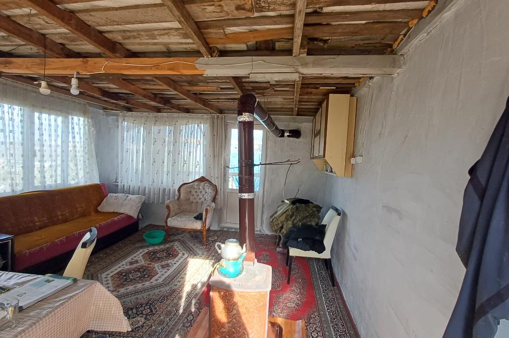 C21 Cius; Gençali'de Deniz Manzaralı 2000 M2 Zeytinlik