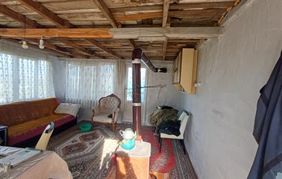 C21 Cius; Gençali'de Deniz Manzaralı 2000 M2 Zeytinlik