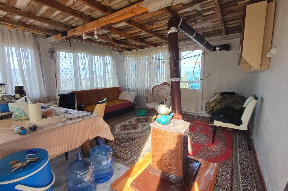 C21 Cius; Gençali'de Deniz Manzaralı 2000 M2 Zeytinlik