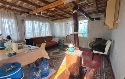 C21 Cius; Gençali'de Deniz Manzaralı 2000 M2 Zeytinlik